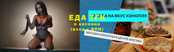 гидра Абаза